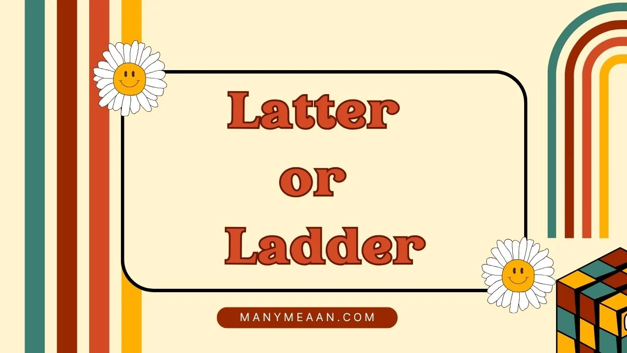 latter or ladder