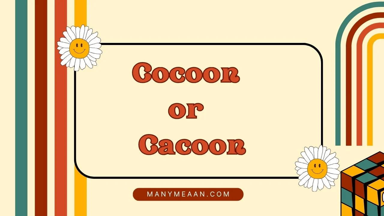 cocoon or cacoon