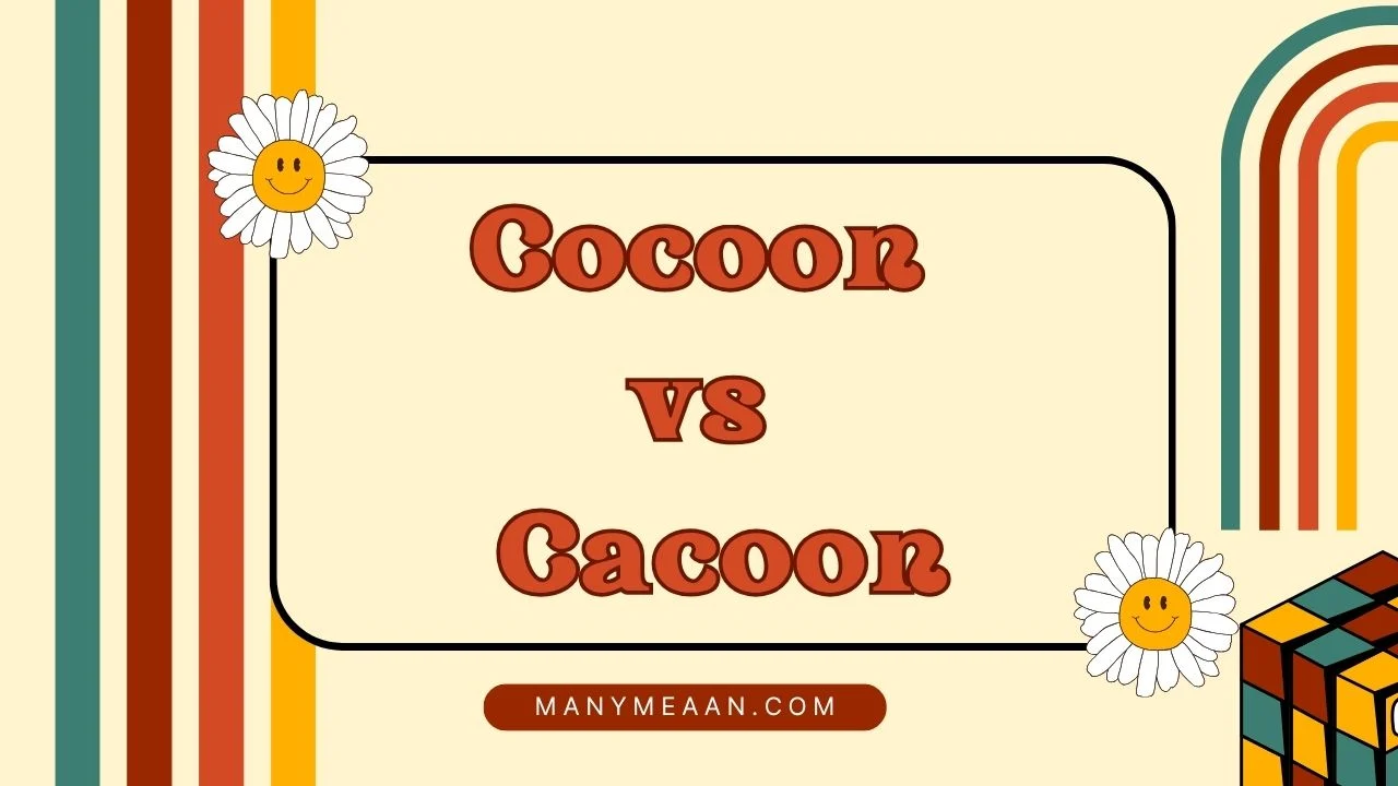 cocoon vs cacoon