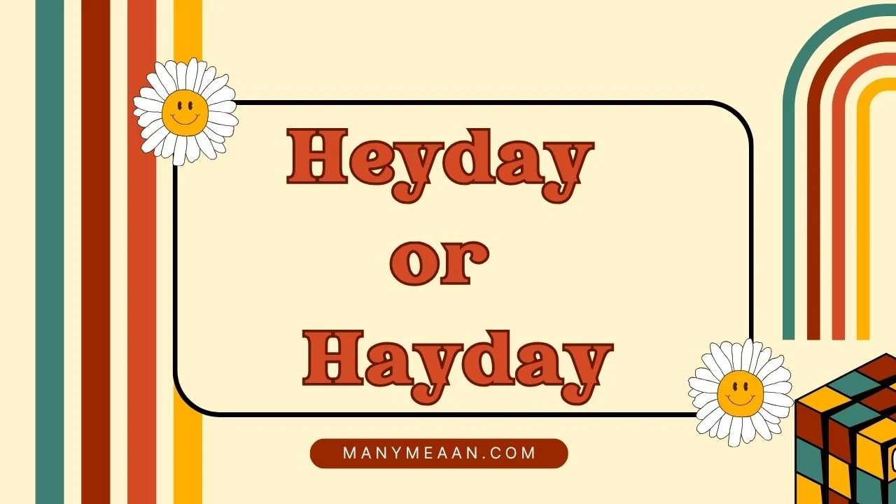 heyday or hayday