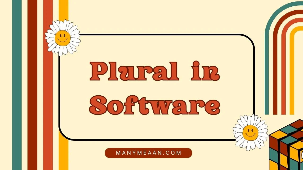 plural in software