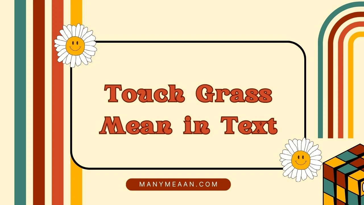 Touch Grass Mean in Text