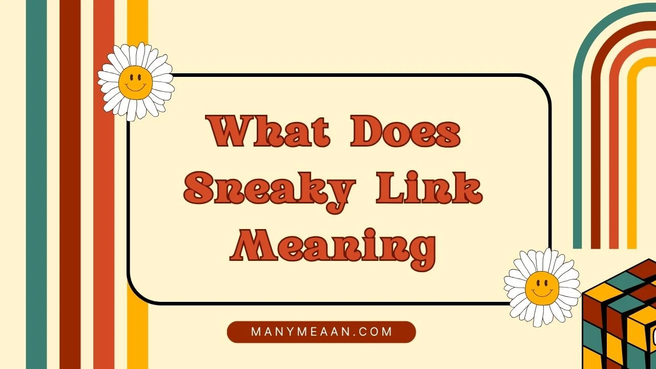 What Does Sneaky Link Meaning